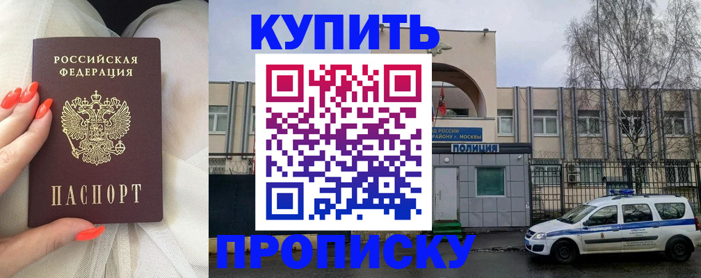 прописка в Щиграх